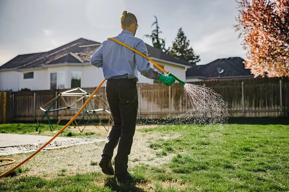 Colonial technician fan-spraying a backyard lawn