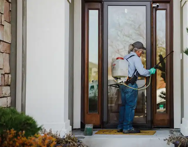 Perimeter treatment along a front door threshold
