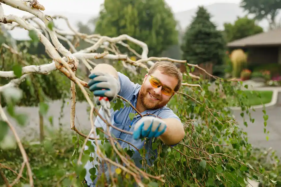 Colonial technician in safety glasses pruning a tree