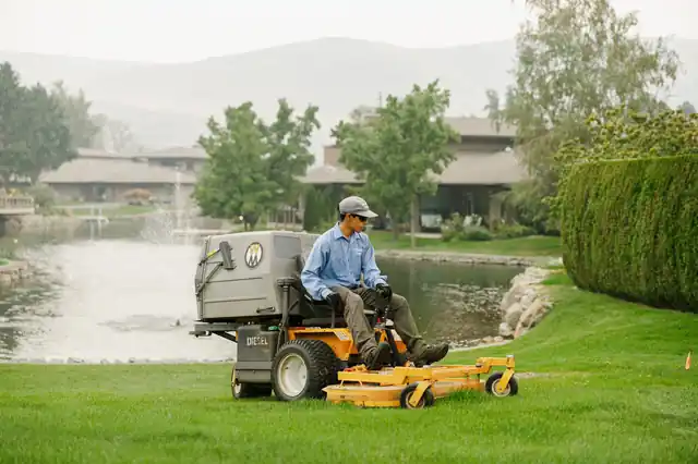 Lawn Restoration: Bringing Your Damaged Lawn Back to Life