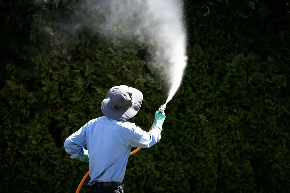 Colonial technician in a bucket hat spraying a mist arc against a dark hedge
