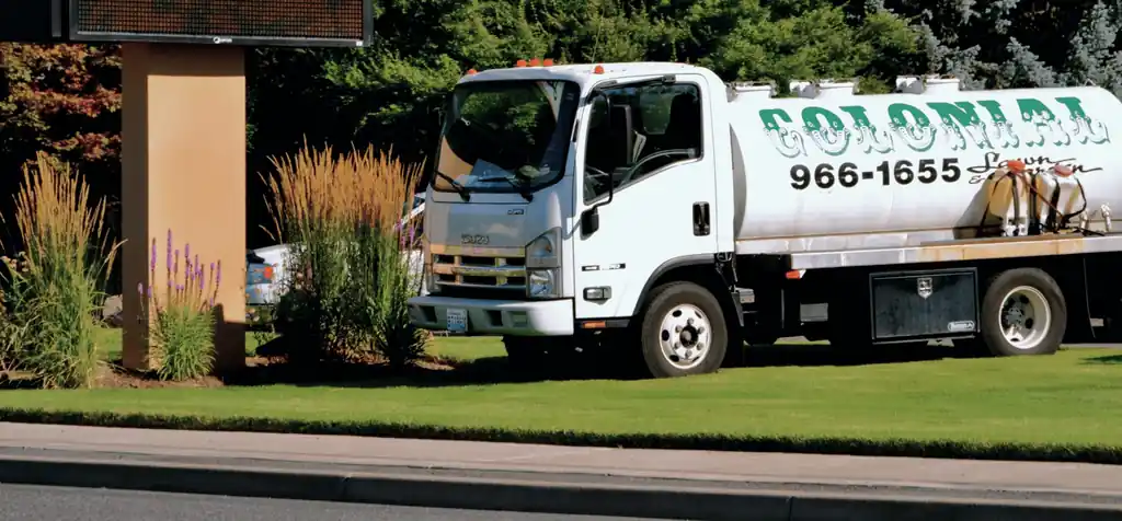 A Colonial truck parked beyond a mown lawn and ornamental grasses